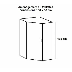 Inside 75 Armoire de rangement d'angle LUND 1 porte blanc mat 80 x 80 cm