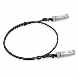 Lancom Systems SFP-DAC10, 1 m, Mâle-Mâle, Noir 