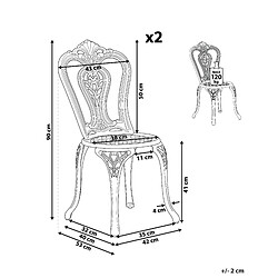 Avis Beliani Lot de 2 chaises Métal Marron foncé BOVINO