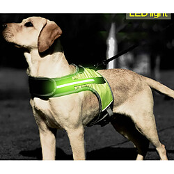 Acheter Universal Led émetteur de lumière faisceau de chien élevé poitrine de chien ceinture d'animaux de compagnie sécurité faisceau de lumière collier d'animaux de compagnie veste pour Husky Berger Labrador Team (vert)