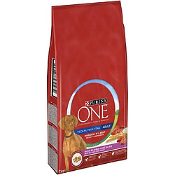 PURINA ONE Croquettes au boeuf et au riz Medium / Maxi &gt; 10 kg - Pour chien adulte de moyenne et grande taille - 7 kg 