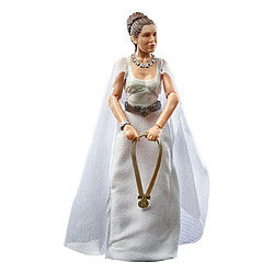 Hasbro Princesse Leia Organa Yavin 4 Articulé Star Wars The Black Series Blanc 