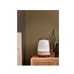 Acheter Lampe haut-parleur - portable et sans fil - connexion bluetooth et son haute fidélité, couleur taupe - Lite-up Play Earth - KOODUU