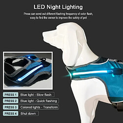 Universal Lumière lumineuse à LED pour chiens, ceinture de poitrine pour chiens, gilet pour animaux de compagnie, cercle réflecteur de sécurité, gilet pour animaux de compagnie, berger Hasiski, Labrador Team (bleu) pas cher