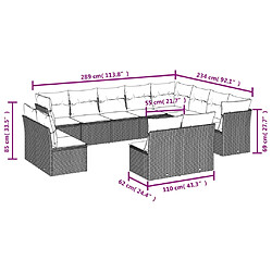 Avis vidaXL Salon de jardin avec coussins 12 pcs gris clair résine tressée