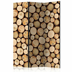 Paris Prix Paravent 3 Volets In Sawmill 135x172cm