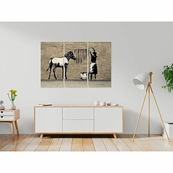 Paris Prix Tableau 3 Panneaux Banksy - Washing Zebra on Concrete 60 x 90 cm