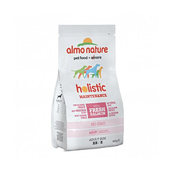 Croquettes Almo Nature Holistic pour chien adulte petite taille Sac 2 kg Saumon et riz 