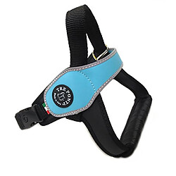 Treponti Harnais pour Grand Chien, Bord Bleu, Taille M 