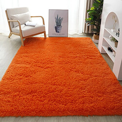 LUUCOZK Tapis doux et moelleux à poils longs pour chambre à coucher et salon - Orange-140x200cm 