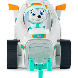 Acheter Spin Master Véhicule de neige Paw Patrol avec Everest