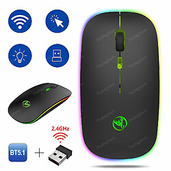 Universal Souris sans fil 