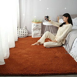 LUUCOZK Tapis moelleux en fausse fourrure Tapis à poils longs pour chambre à coucher Salon-Café-140x200cm