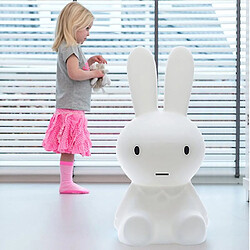 Universal Lumière lumineuse de dessin animé, lumière colorée Miffy lapin 28cm (blanc)