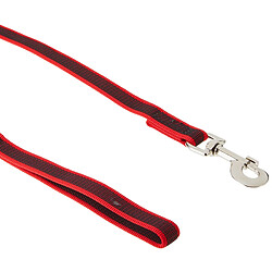 Universal Amplificateur de couleur K9 216GM-R-S2 ; courroie grise super grip avec poignée et boucle D, 20 mm x 2 m, rouge