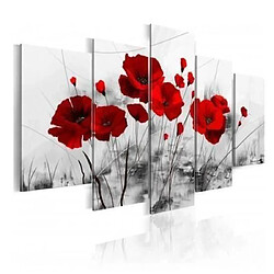 @PRINTING MALL-Unframed 5 pcs Rouge Miracle Nature Fleurs Plantes Coquelicots Tableaux Photo Sur Toile Impression Sur Toile MC1281