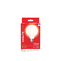 Acheter But Ampoule Led B95 E27 75W Blanc froid