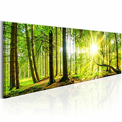 Paris Prix Tableau Imprimé Majestic Trees 40 x 120 cm