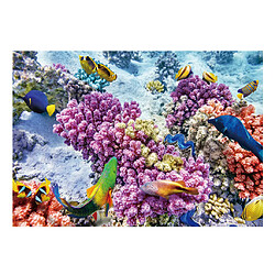 Fond de terrarium Aquarium pratique 3d aquarium fond affiche poisson fond s