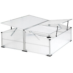 Helloshop26 Mini serre de jardin aluminium 102 x 102 cm polycarbonate 1608023