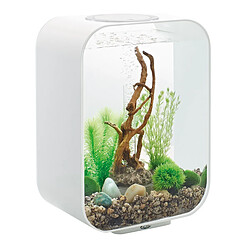 Aquarium décoratif 15l avec cadre blanc - Life 15 MCR white - OASE