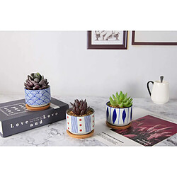 Avis BESTA Pots de Plantes Succulentes avec Plateau en Bambou - Lot de 3 Pots de Plantation Cylindriques en Céramique Japonaise avec Trous de Drainage - Pots pour Plantes Succulentes, Petits Cactus, Herbes