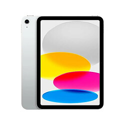 Tablette Apple iPad Argenté 256 GB