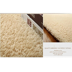 LUUCOZK Tapis moelleux en fausse fourrure Tapis à poils longs pour chambre à coucher Salon-Café-50x120cm pas cher