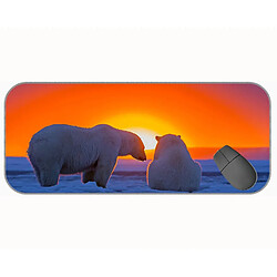 Universal (750x300x3), xxl tapis de souris de jeu étendu, coussin de souris du couset de soleil d'ours polaire animal