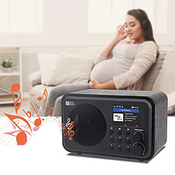 Universal Récepteur radio Internet WiFi WR 336N radio numérique portable avec batterie rechargeable, récepteur Bluetooth |