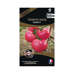 Sanrival Graines potagères premium tomate Fenda