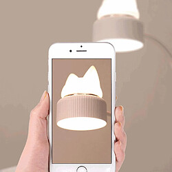 Acheter Universal Trois dessins animés créatifs, lampe à chat, lumière LED, recharge USB (rose)