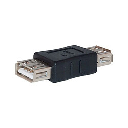 Ansco USB femelle à femelle adaptateur convertisseur 2.0