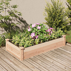 Maison Chic Jardinière,Lit surélevé de jardin - Bac à fleurs - pot de fleur doublure 120x60x25 cm bois massif sapin -GKD98992