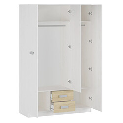 Pegane Armoire, placard garde-robe 2 portes coloris andersen, puccini - Longueur 60 x Profondeur 37,80 x Hauteur 208 cm