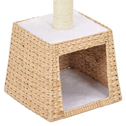 Acheter Arbre à chat avec griffoirs,niche pour chat en sisal Herbiers marins -MN44720