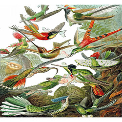 Acheter Puzzles Michele Wilson Les colibris HAECKEL