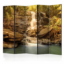 Paris Prix Paravent 5 Volets Sunny Waterfall 172x225cm