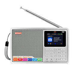 Universal Radio numérique FM stéréo/DAB radio multibande 2.4 TFT LCD écran couleur réveil 18650 LITHIUM ELECTROGRAMME