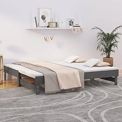 vidaXL Lit coulissant sans matelas gris 2x(90x190) cm