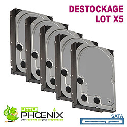 Little Phoenix Lot de 5x Disques Durs 500Go 3.5" SATA 7200RPM pour PC de bureau - Destockage · Reconditionné 