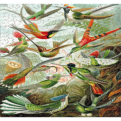 Avis Puzzles Michele Wilson Les colibris HAECKEL