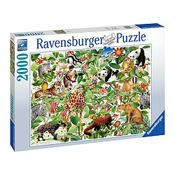 Ravensburger Puzzle Premium de 2000 Pièces Softclick Thème Jungle en Carton Extra-épais Multicolore pas cher