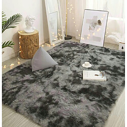 LUUCOZK Tapis à poils longs doux et moelleux pour chambre à coucher et salon - Gris foncé dégradé-120 x200cm 