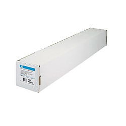 HP Clear Film 174 gsm-610 mm x 22.9 m (24 in x 75 ft) film d'impression