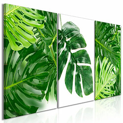 Paris Prix Tableau Imprimé Palm Leaves 3 Panneaux 60x120cm