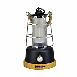 Lumisky Lanterne sans fil LED WILDY Noir Métal H23CM