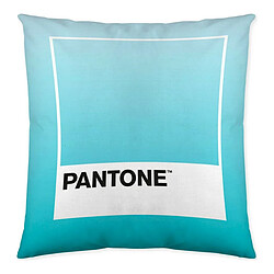 Pantone Housse de coussin Ombre Réversible (50 x 50 cm)