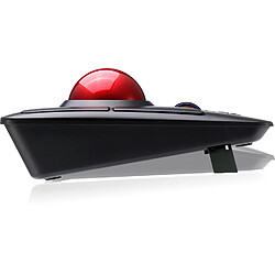 Avis Adesso IMOUSE-T50, Wireless Ergonomic programable Desktop Trackball