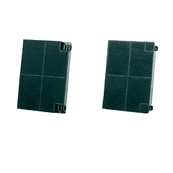 Zanussi FILTRE CHARBON (2 PIECES) FILTRE CHARBON (2 PIECES) pour HOTTE ZANUSSI - 5029066000